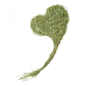 Herz aus Gras (60 x 30 cm)